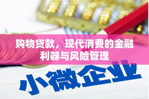 乐清购物贷款，现代消费的金融利器与风险管理
