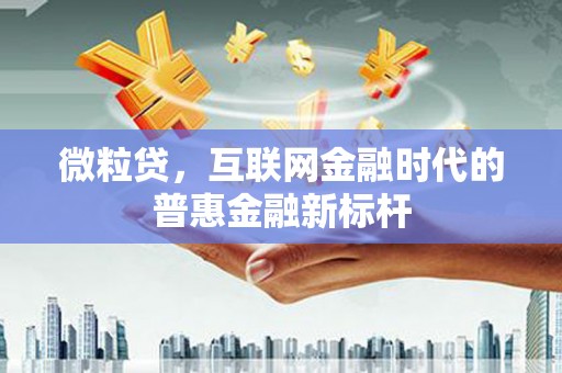 海伦微粒贷，互联网金融时代的普惠金融新标杆