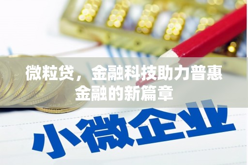 大埔微粒贷，金融科技助力普惠金融的新篇章