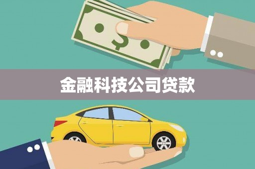 蒙城金融科技公司贷款