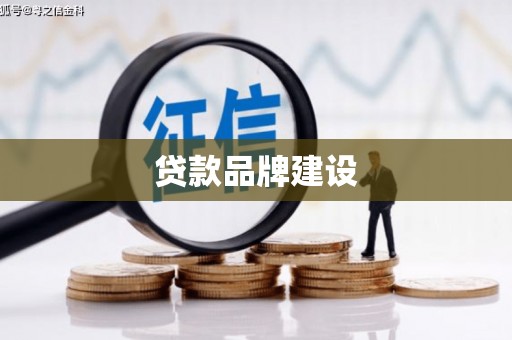 龙泉驿贷款品牌建设