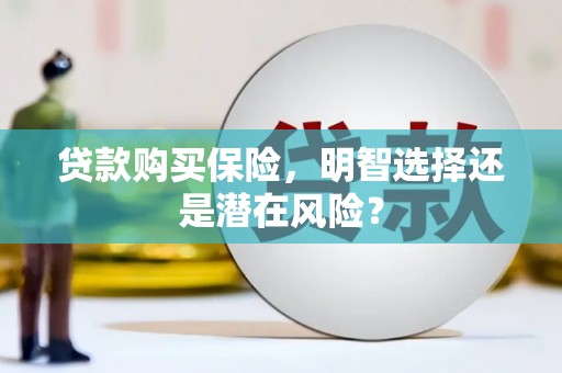 龙泉驿贷款购买保险，明智选择还是潜在风险？