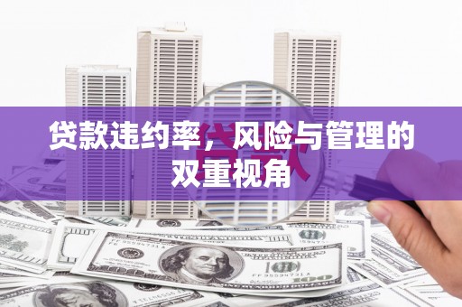 江城贷款违约率，风险与管理的双重视角