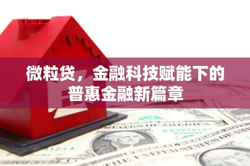 呼中微粒贷，金融科技赋能下的普惠金融新篇章
