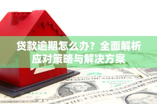 宁陕贷款逾期怎么办？全面解析应对策略与解决方案