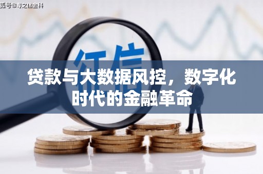 麦积贷款与大数据风控，数字化时代的金融革命