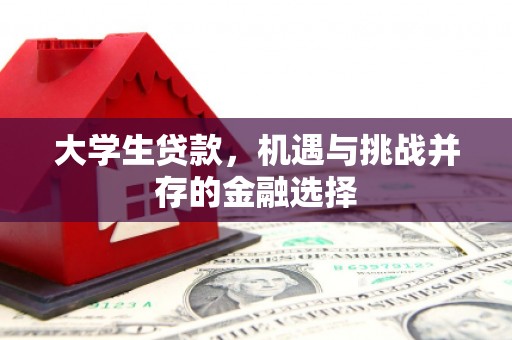 龙泉驿大学生贷款，机遇与挑战并存的金融选择