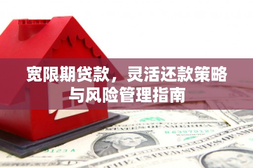 龙泉驿宽限期贷款，灵活还款策略与风险管理指南