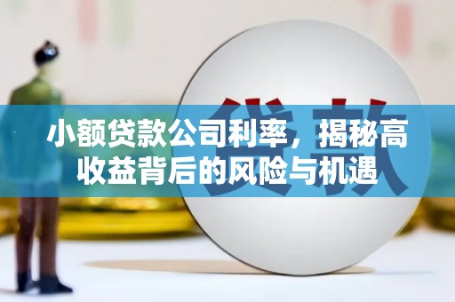 南化小额贷款公司利率，揭秘高收益背后的风险与机遇