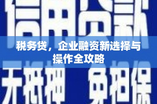 新宾税务贷，企业融资新选择与操作全攻略