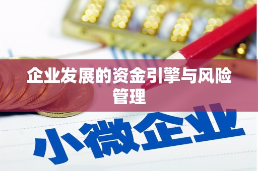 顺平企业发展的资金引擎与风险管理