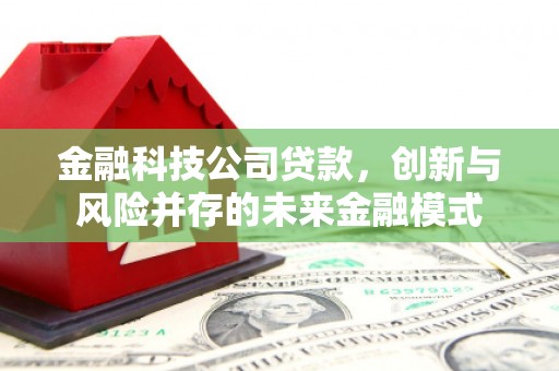 沙河金融科技公司贷款，创新与风险并存的未来金融模式