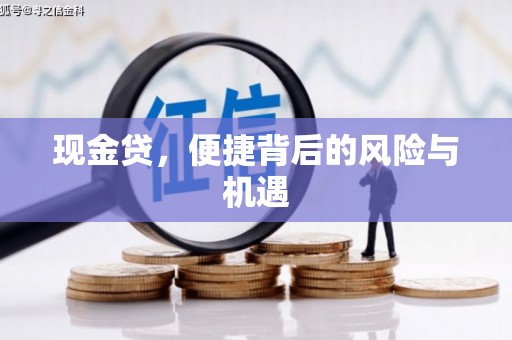 长海现金贷，便捷背后的风险与机遇