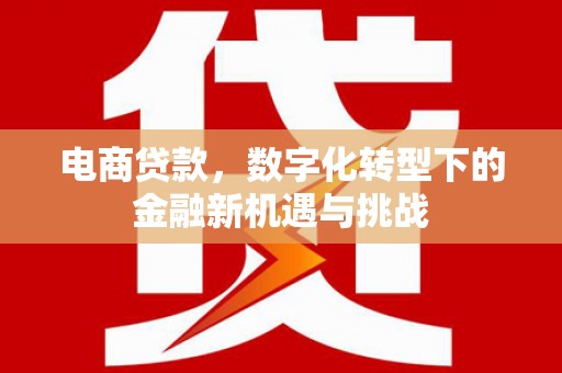 顺平电商贷款，数字化转型下的金融新机遇与挑战