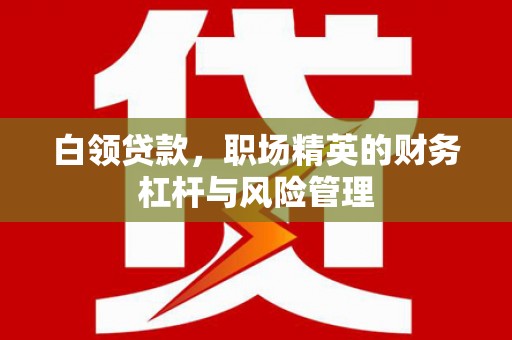 南宁白领贷款，职场精英的财务杠杆与风险管理