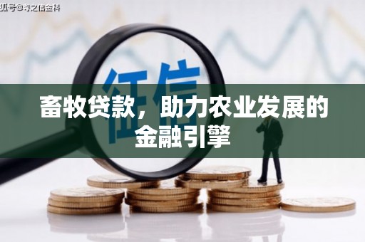 盐边畜牧贷款，助力农业发展的金融引擎