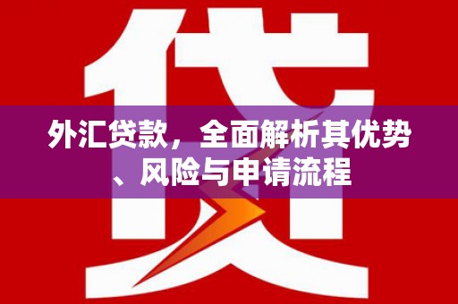 鹤壁外汇贷款，全面解析其优势、风险与申请流程