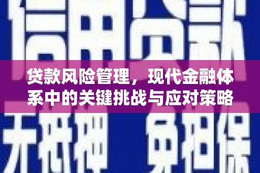 西平贷款风险管理，现代金融体系中的关键挑战与应对策略