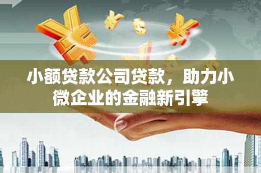 虎尾小额贷款公司贷款，助力小微企业的金融新引擎