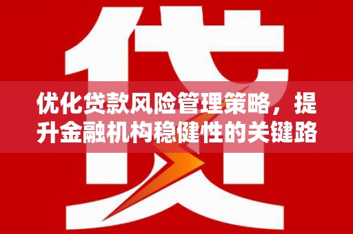 个旧优化贷款风险管理策略，提升金融机构稳健性的关键路径