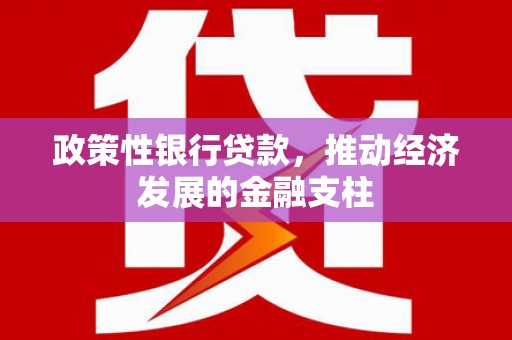 岳西政策性银行贷款，推动经济发展的金融支柱