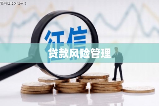 苏尼特右旗贷款风险管理