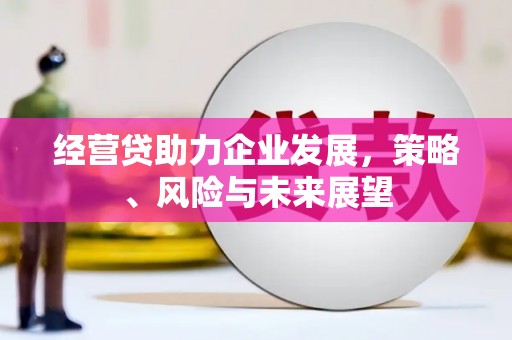 枣阳经营贷助力企业发展，策略、风险与未来展望