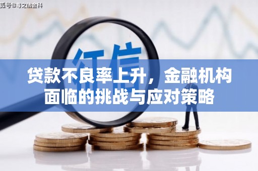 安阳贷款不良率上升，金融机构面临的挑战与应对策略