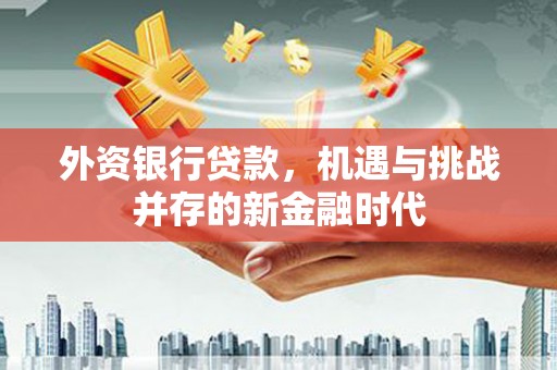 博乐外资银行贷款，机遇与挑战并存的新金融时代
