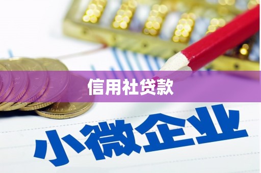 苏州信用社贷款