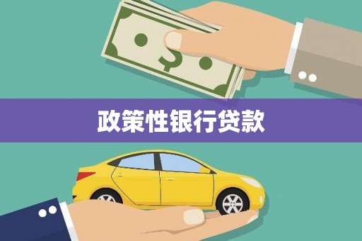 遵义政策性银行贷款