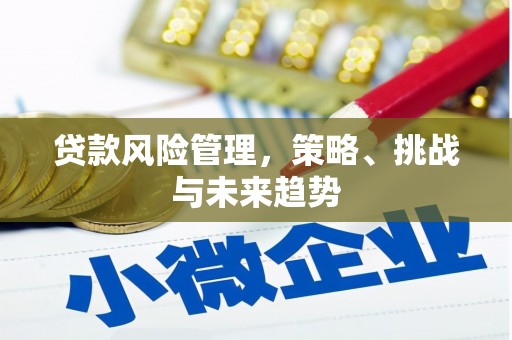 梨树县贷款风险管理，策略、挑战与未来趋势