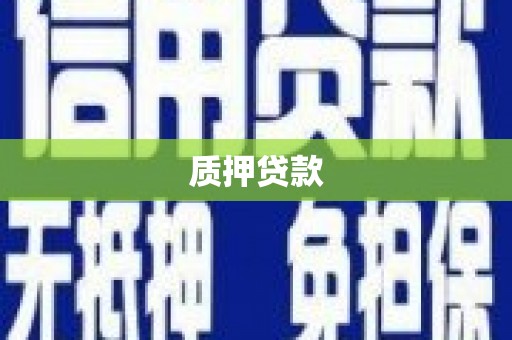西安质押贷款