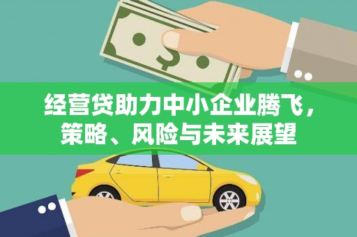 伊犁哈萨克经营贷助力中小企业腾飞，策略、风险与未来展望