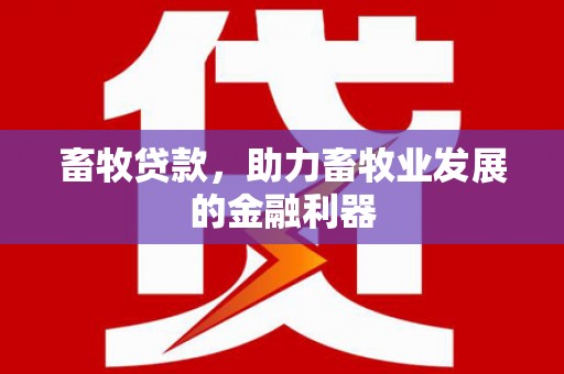 茅箭畜牧贷款，助力畜牧业发展的金融利器