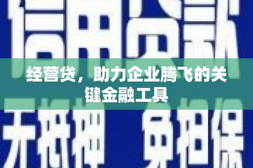 涟水经营贷，助力企业腾飞的关键金融工具