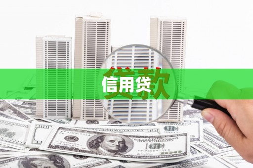 信义信用贷