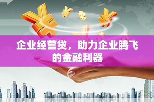 太湖企业经营贷，助力企业腾飞的金融利器