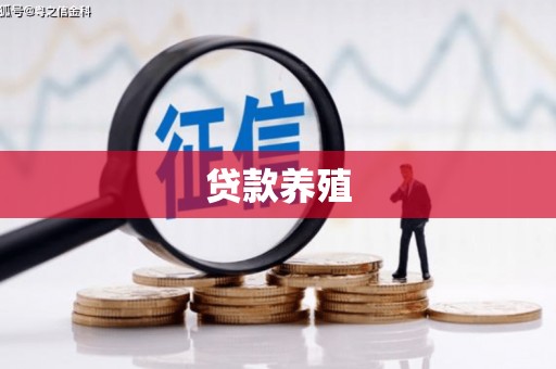 霍州贷款养殖