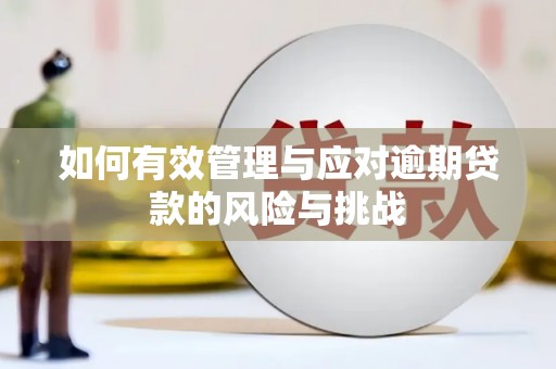 嘉陵如何有效管理与应对逾期贷款的风险与挑战