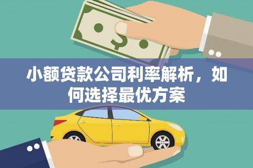 嘉陵小额贷款公司利率解析，如何选择最优方案