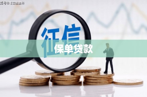 博湖保单贷款