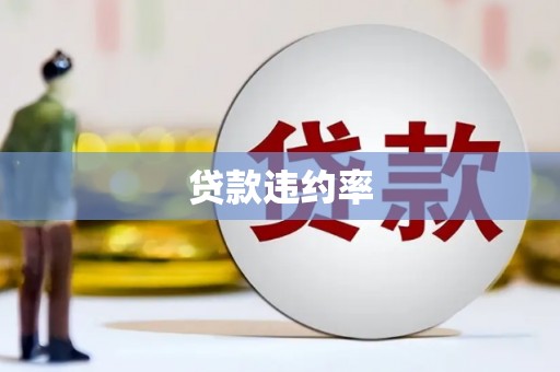 嘉陵贷款违约率