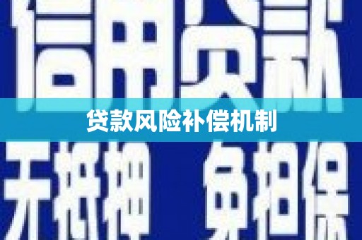 温宿贷款风险补偿机制