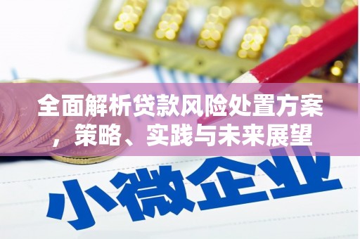 芷江全面解析贷款风险处置方案，策略、实践与未来展望