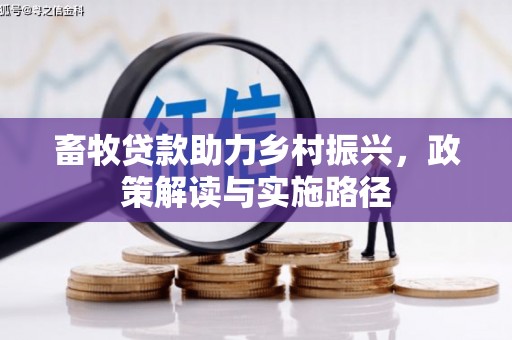 肇东畜牧贷款助力乡村振兴，政策解读与实施路径