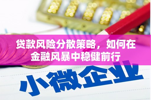 蒲江贷款风险分散策略，如何在金融风暴中稳健前行