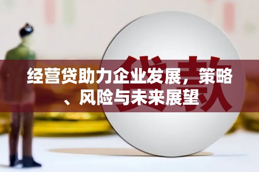 蒲江经营贷助力企业发展，策略、风险与未来展望