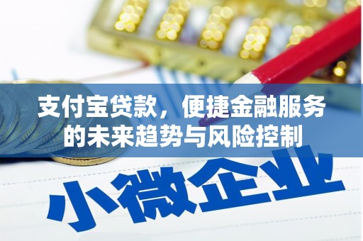 舞钢支付宝贷款，便捷金融服务的未来趋势与风险控制