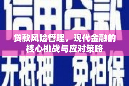 南郊贷款风险管理，现代金融的核心挑战与应对策略